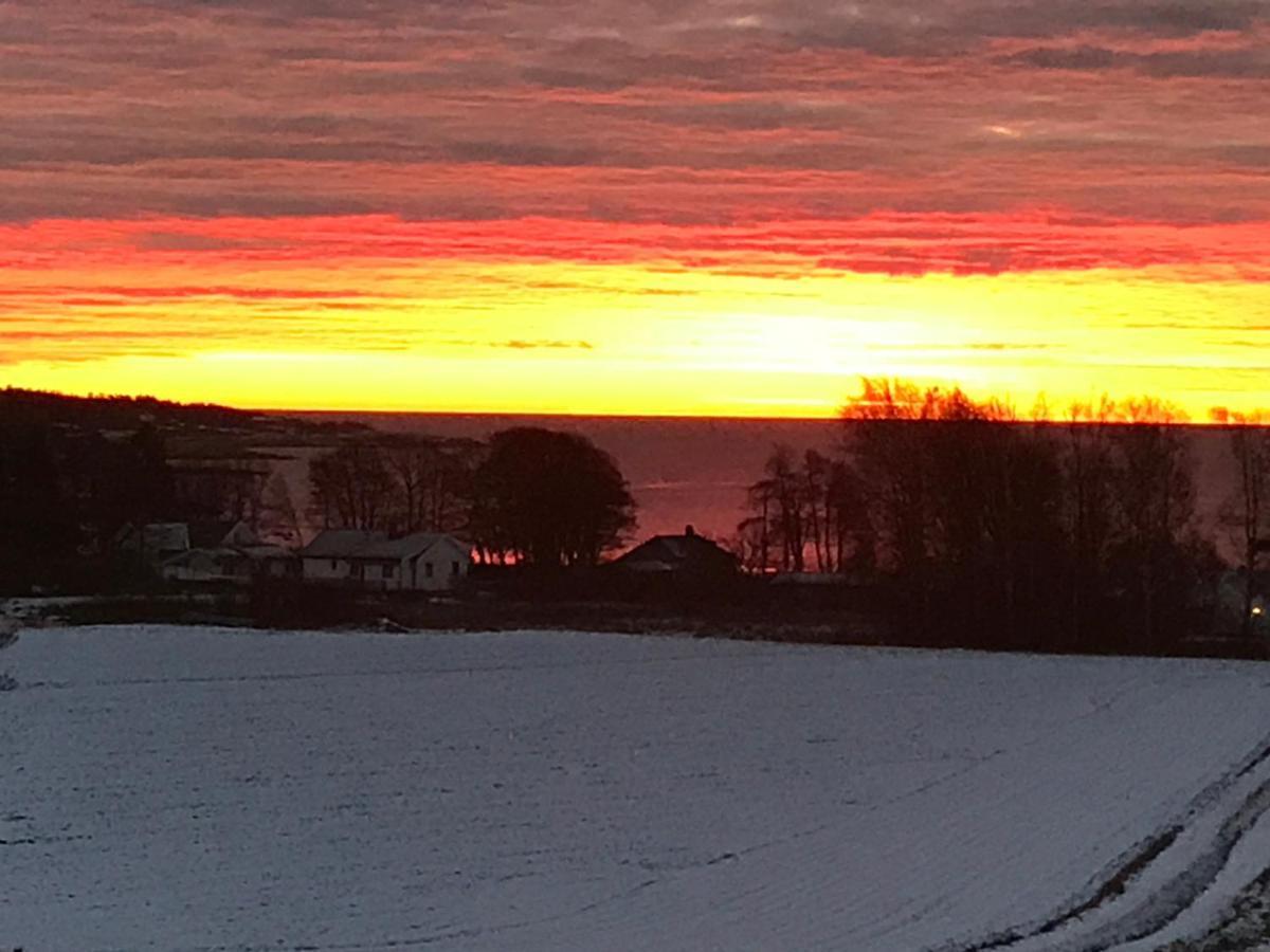 Ny Leilighet I Nevlunghavn Larvik Kültér fotó