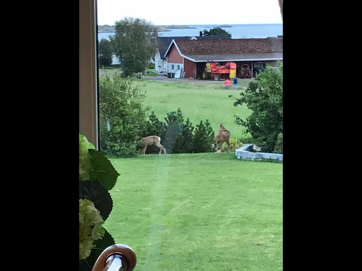 Ny Leilighet I Nevlunghavn Larvik Kültér fotó