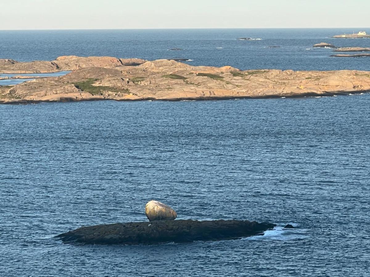 Ny Leilighet I Nevlunghavn Larvik Kültér fotó